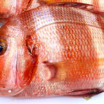 Urta a la roteña es una de las recetas más famosas de este pescado
